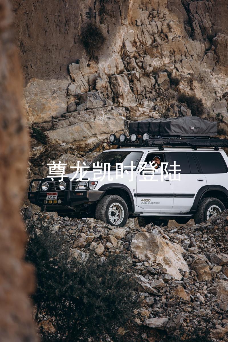 尊龙凯时登陆