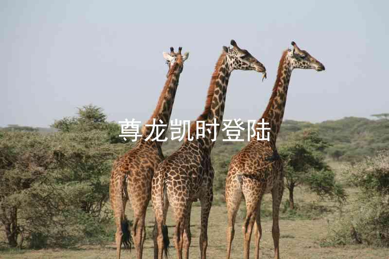 尊龙凯时登陆